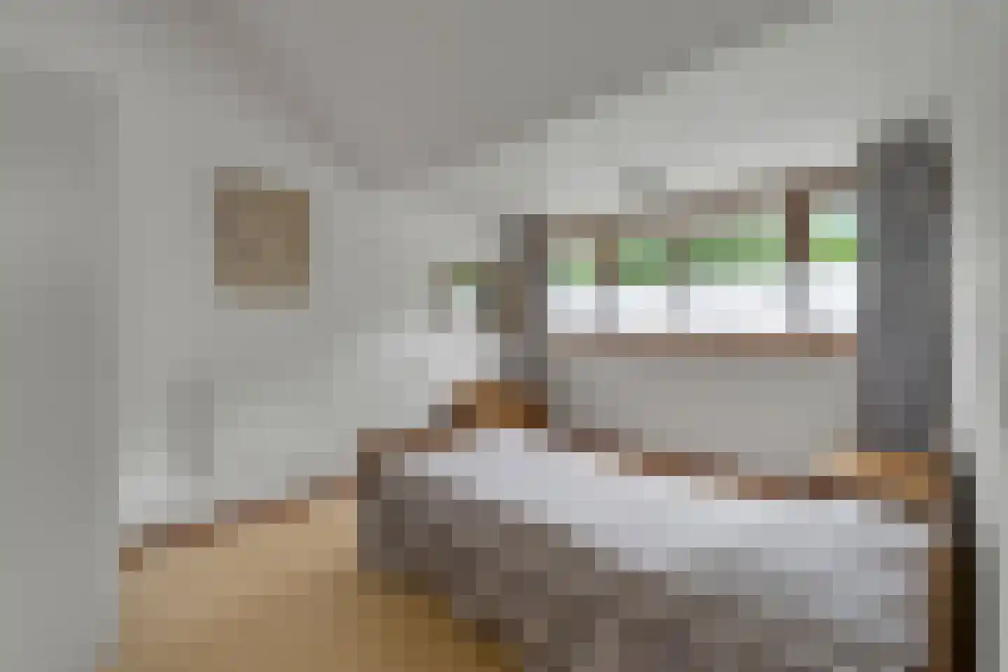 Slettenhaarsweide 75 Nijverdal thumbnail 30