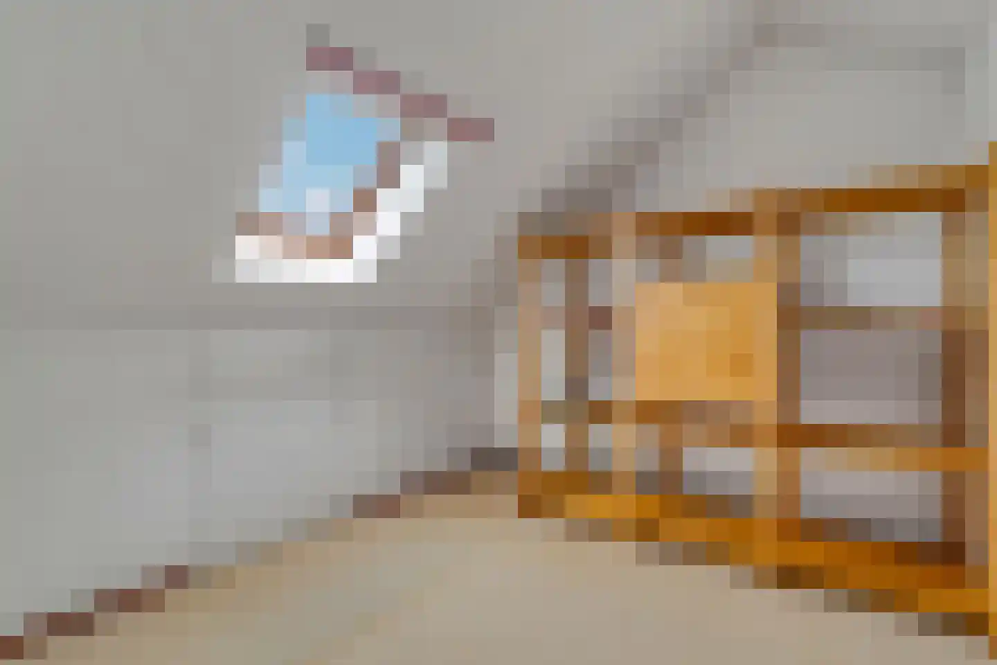 Slettenhaarsweide 75 Nijverdal thumbnail 32