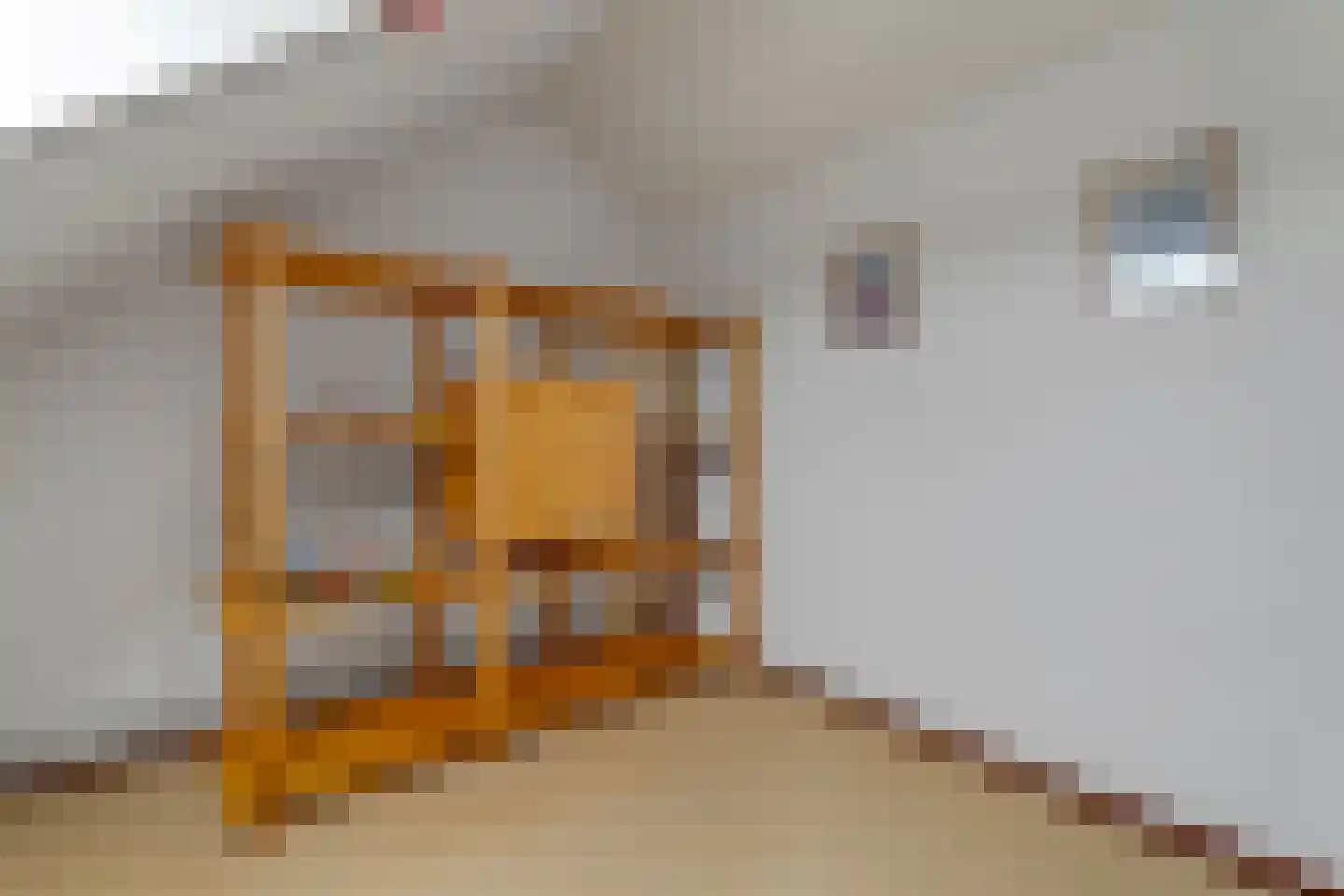 Slettenhaarsweide 75 Nijverdal thumbnail 33