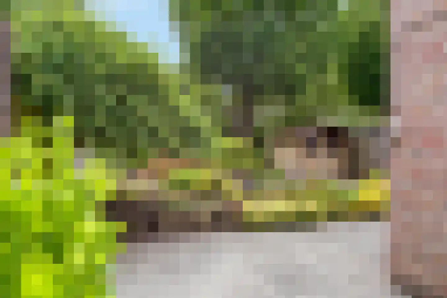 Slettenhaarsweide 75 Nijverdal thumbnail 35