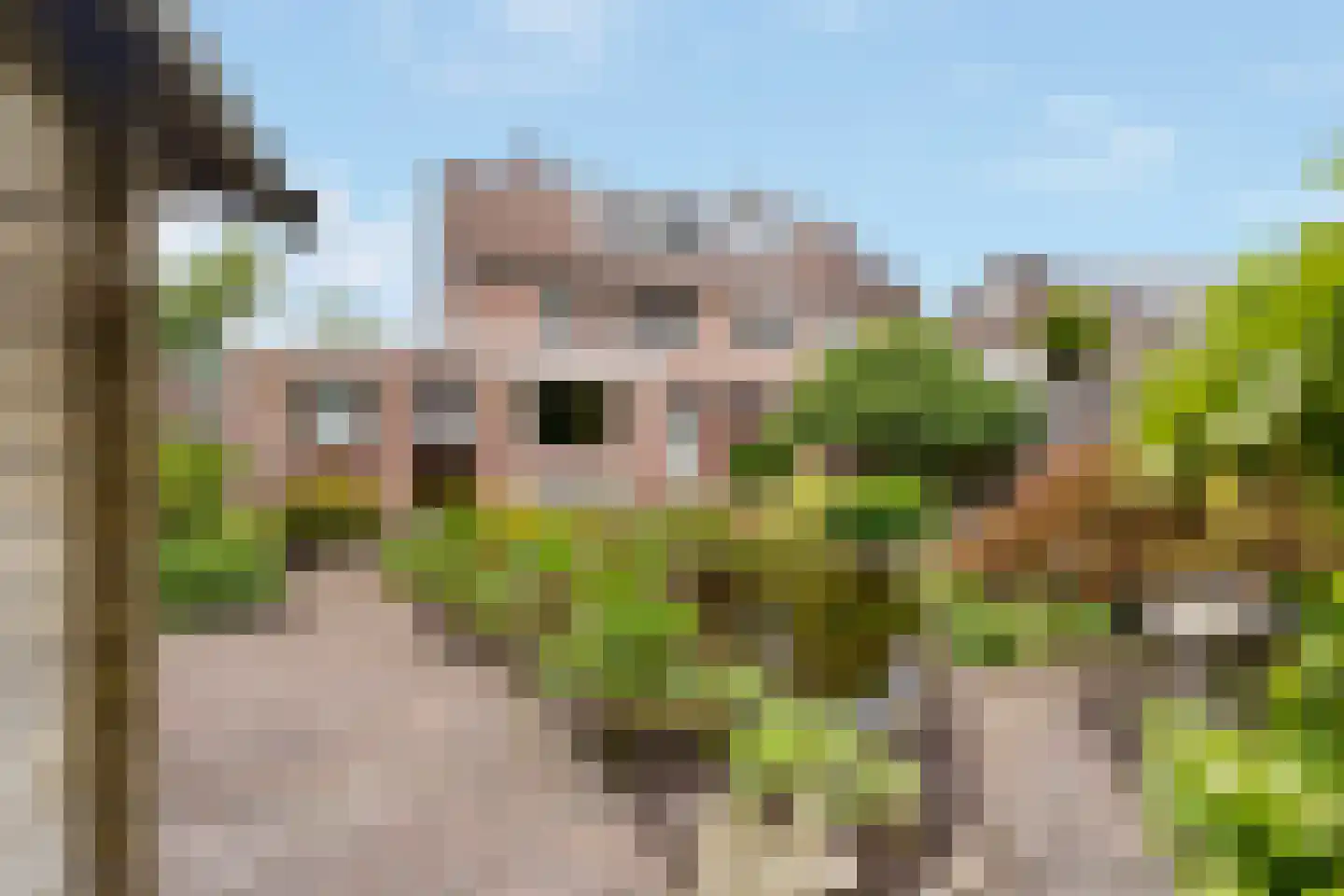 Slettenhaarsweide 75 Nijverdal thumbnail 37