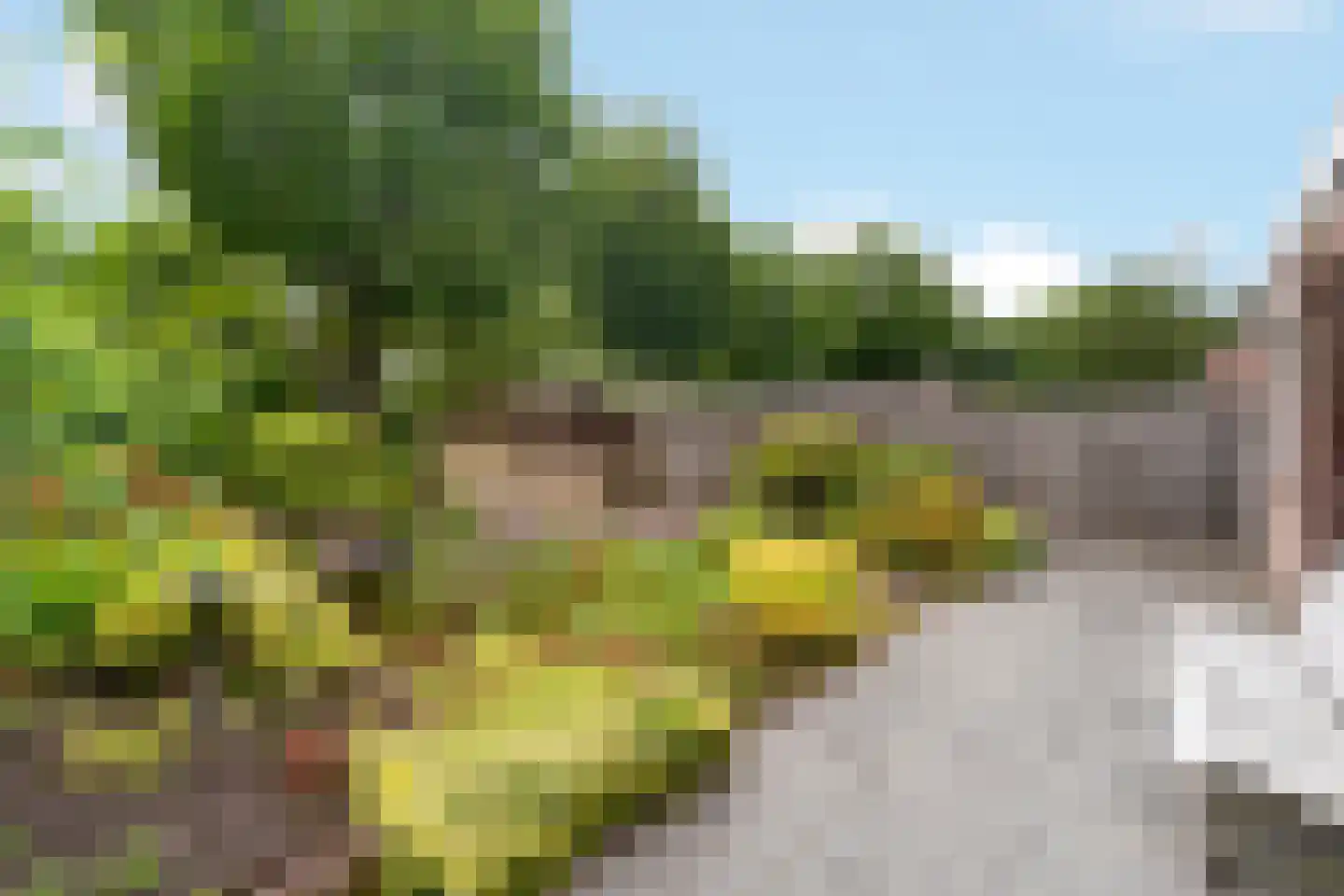 Slettenhaarsweide 75 Nijverdal thumbnail 4