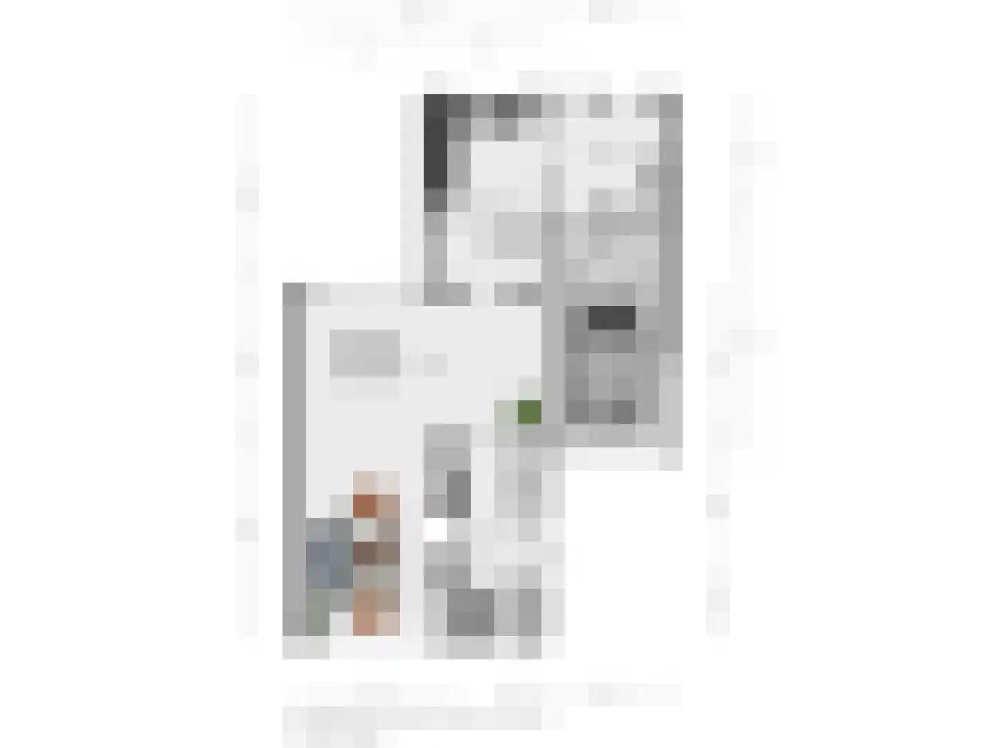 Slettenhaarsweide 75 Nijverdal thumbnail 42