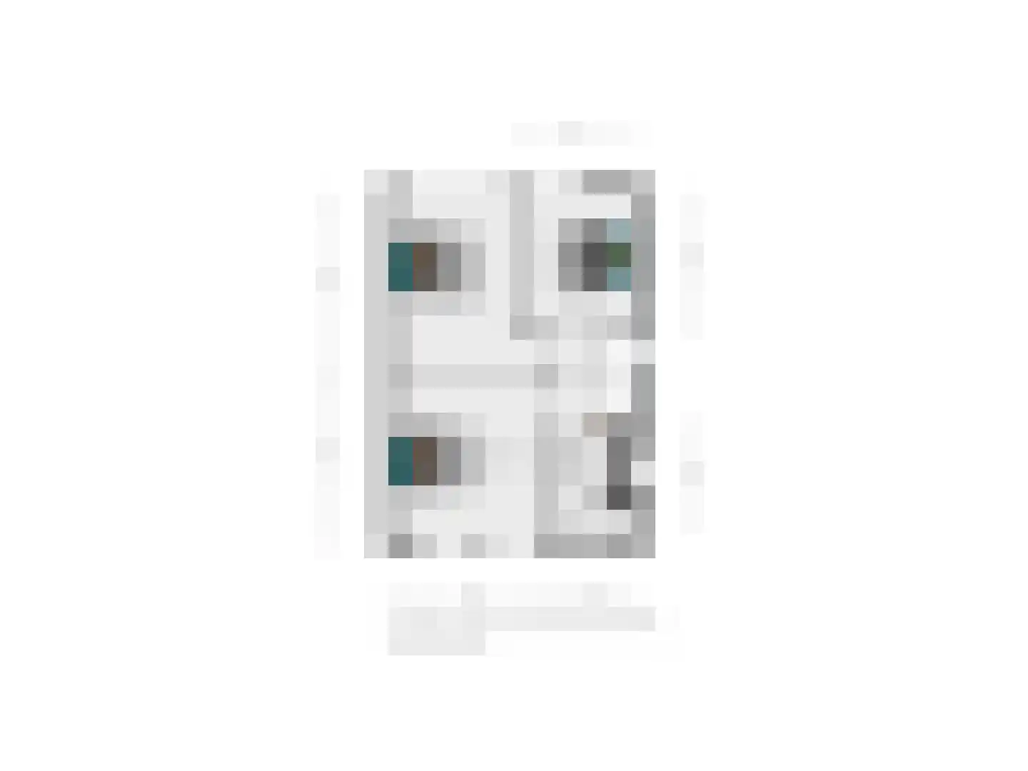 Slettenhaarsweide 75 Nijverdal thumbnail 43