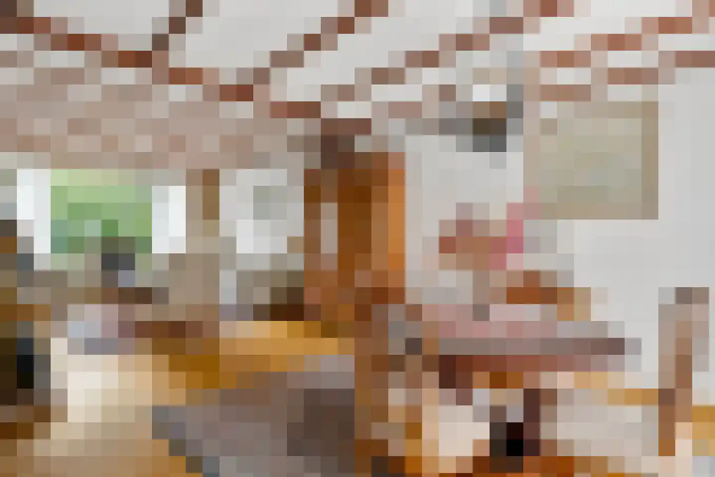 Slettenhaarsweide 75 Nijverdal thumbnail 8