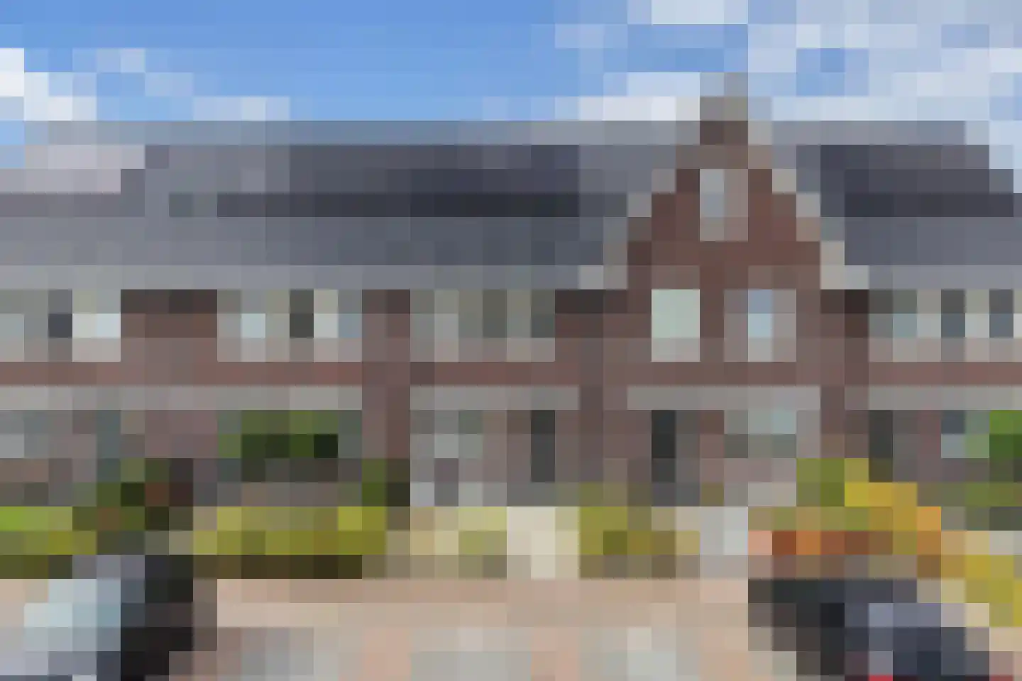 Sleutelbloem 102 Leek