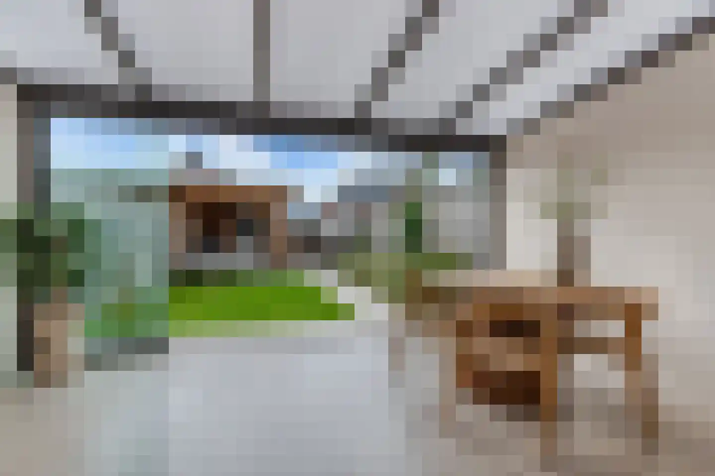 Sleutelbloem 102 Leek thumbnail 14