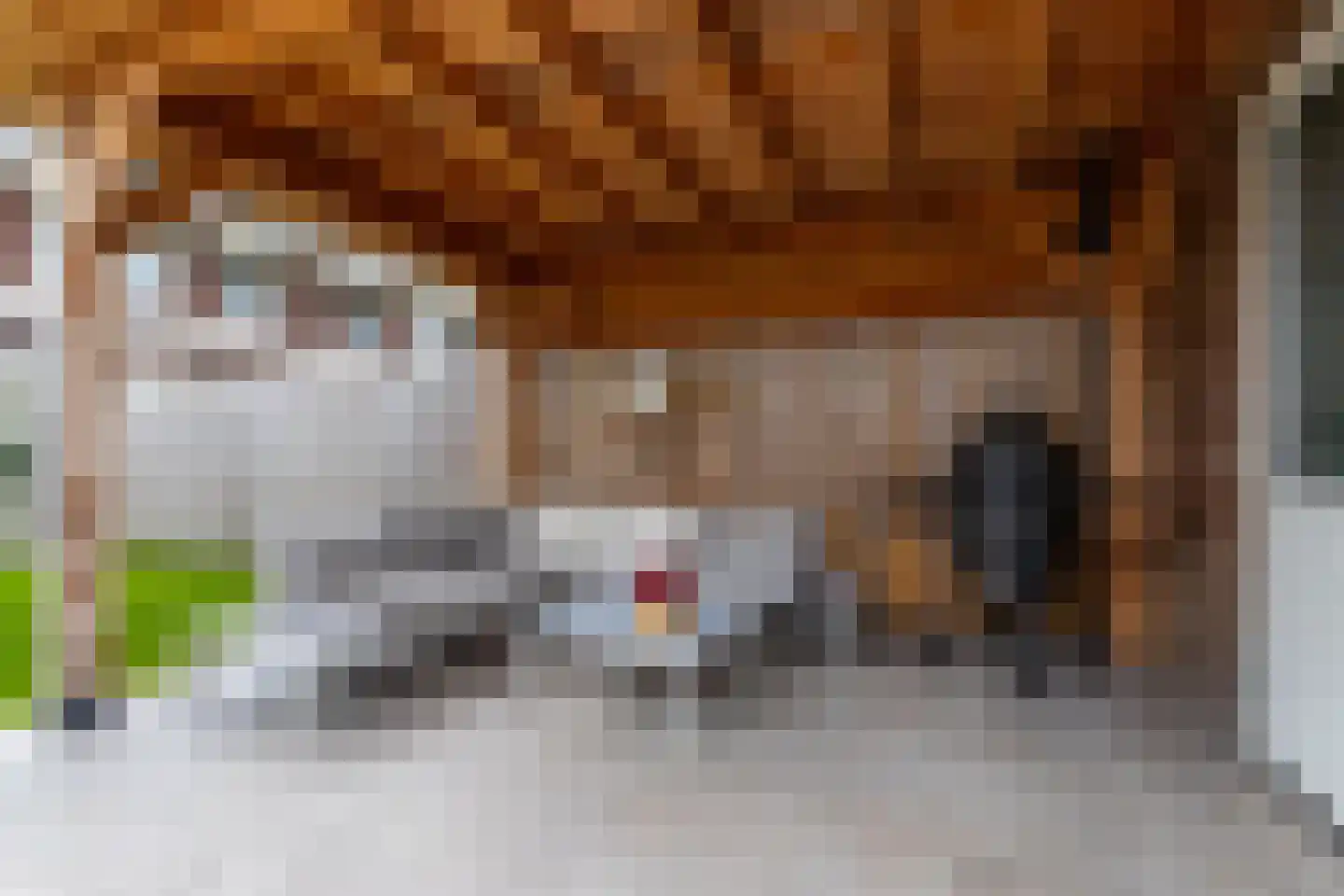 Sleutelbloem 102 Leek thumbnail 37