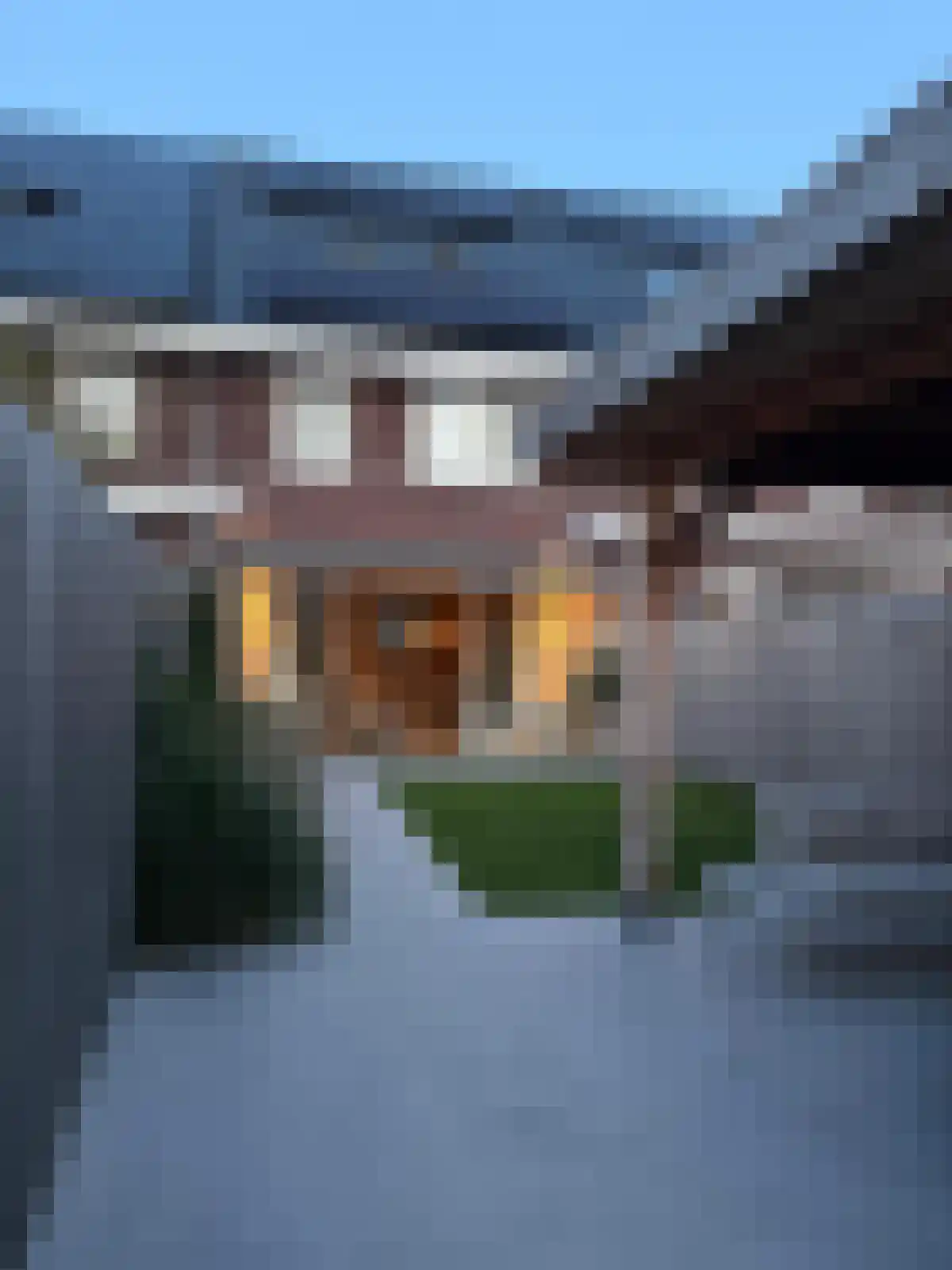 Sleutelbloem 102 Leek thumbnail 38
