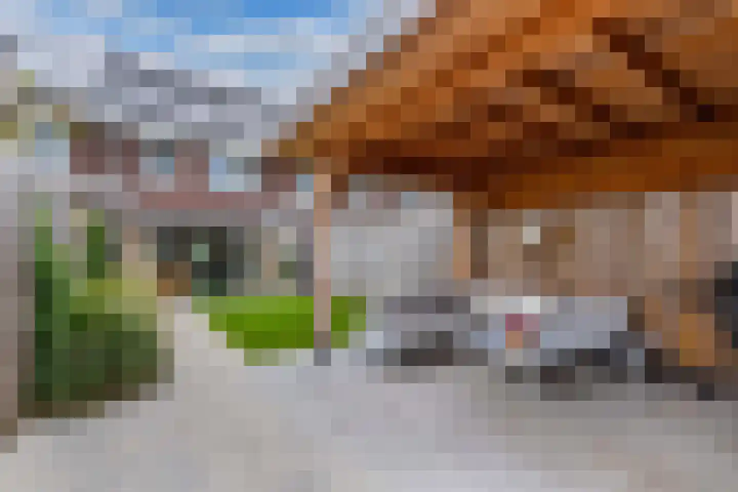 Sleutelbloem 102 Leek thumbnail 4