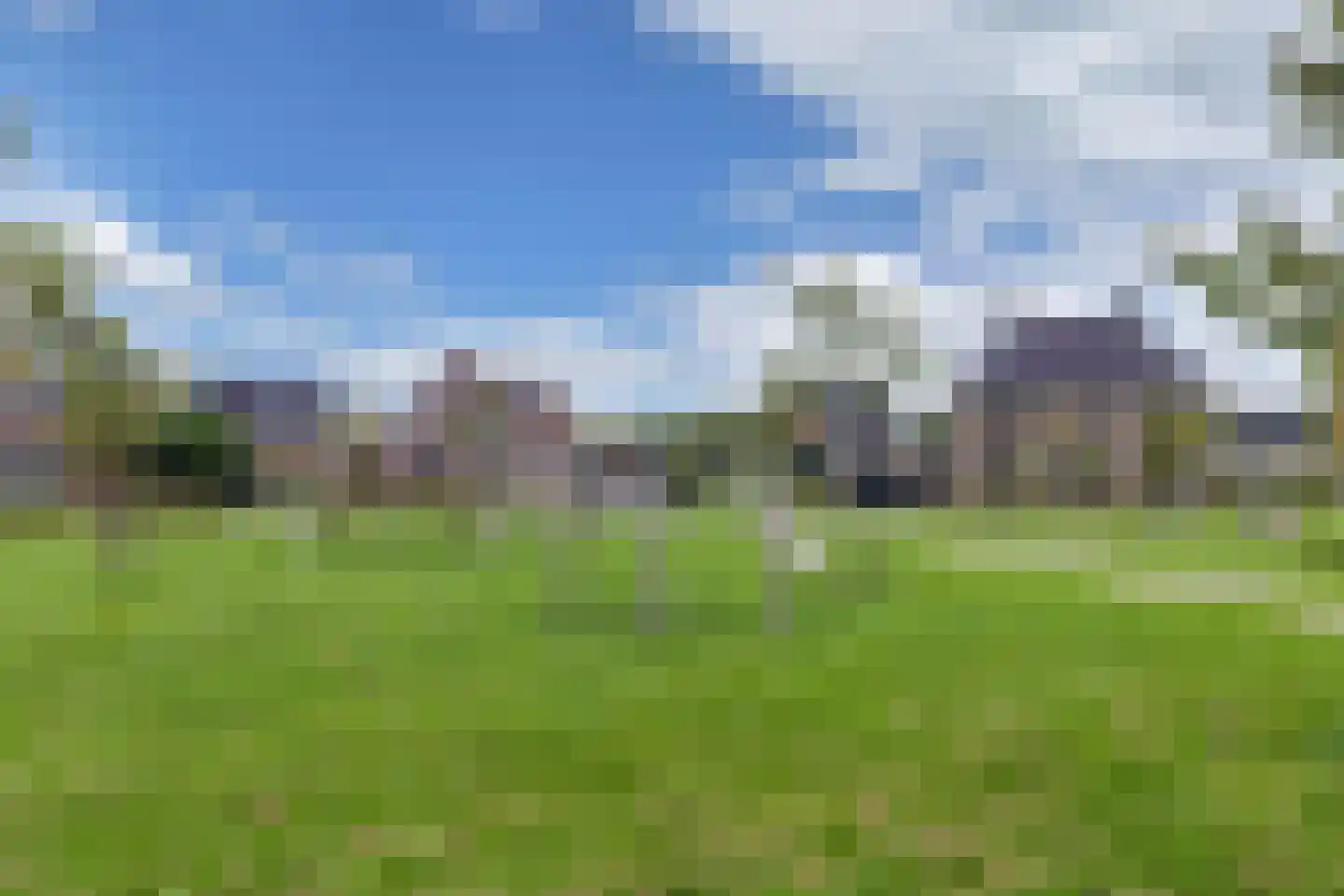 Sleutelbloem 102 Leek thumbnail 41