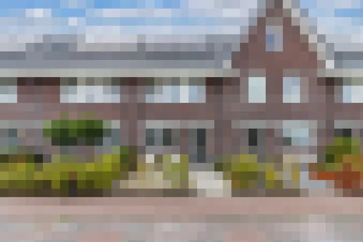 Sleutelbloem 102 Leek thumbnail 42