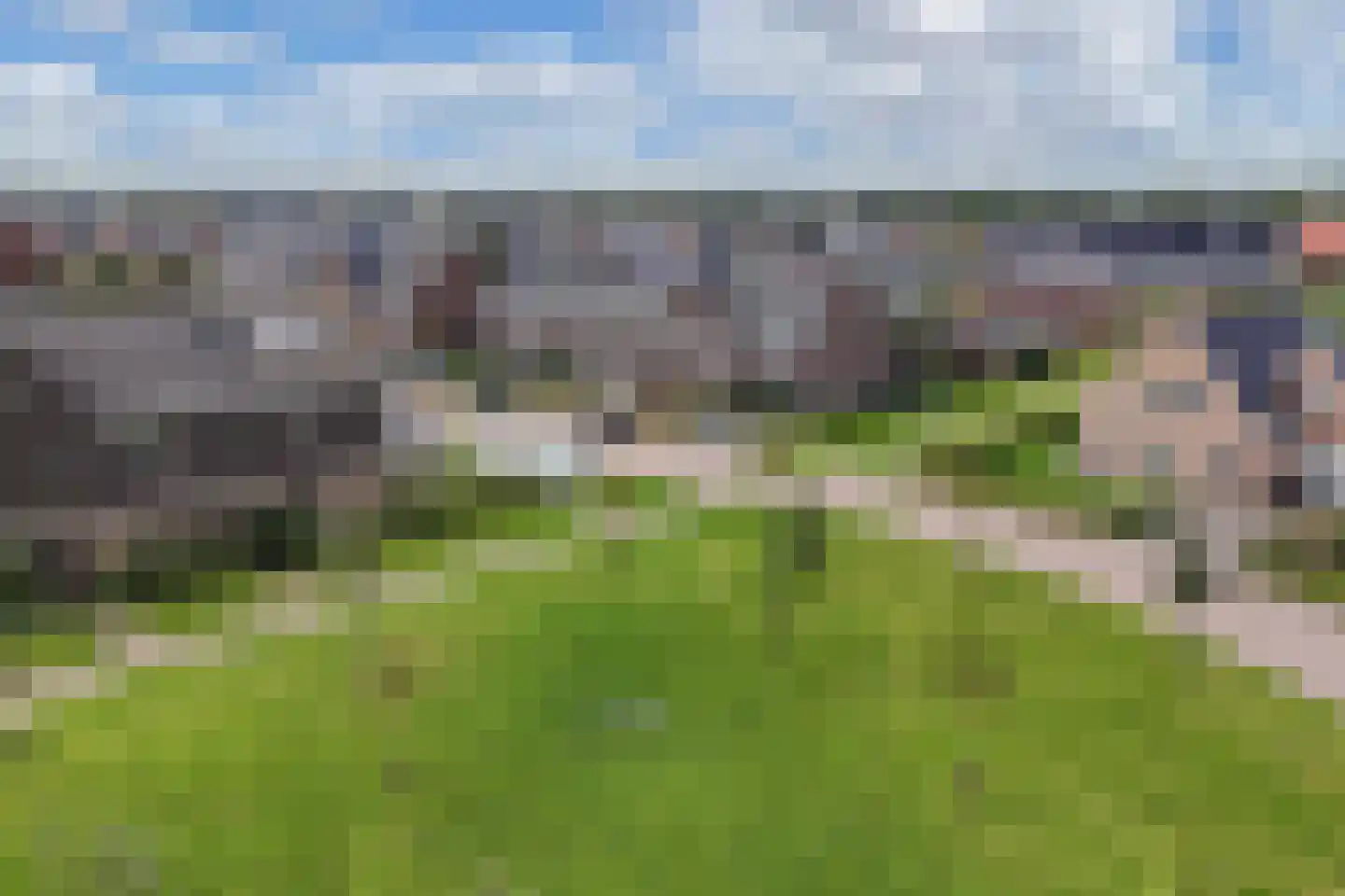 Sleutelbloem 102 Leek thumbnail 5