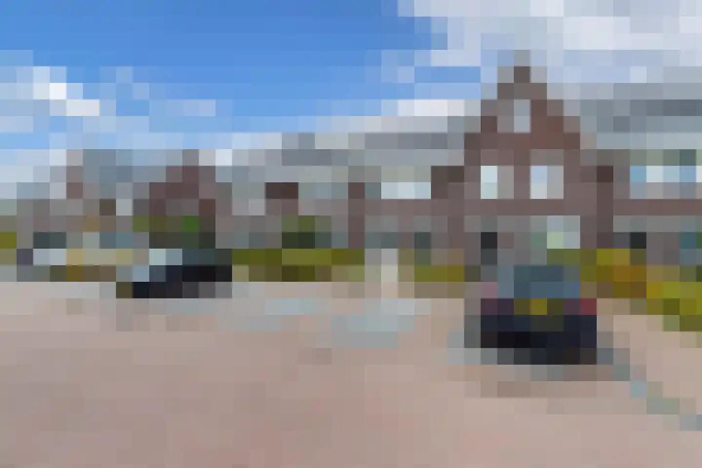 Sleutelbloem 102 Leek thumbnail 8