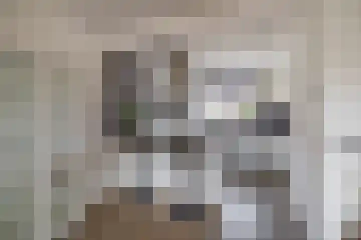 Sleutelbloem 11 Breukelen thumbnail 11