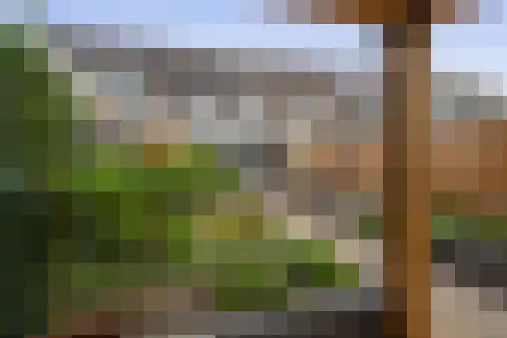 Sleutelbloem 11 Breukelen thumbnail 15
