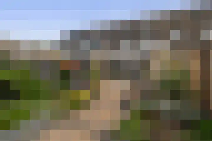 Sleutelbloem 11 Breukelen thumbnail 16