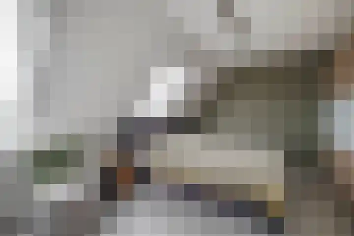 Sleutelbloem 11 Breukelen thumbnail 18