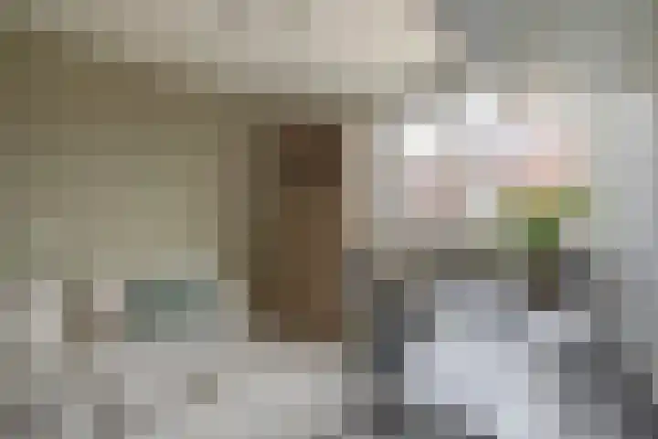Sleutelbloem 11 Breukelen thumbnail 20