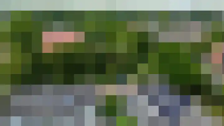 Sleutelbloem 11 Breukelen thumbnail 28