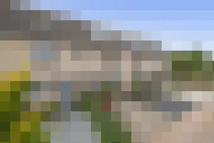 Sleutelbloem 11 Breukelen thumbnail 45