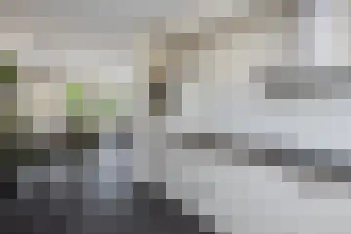Sleutelbloem 11 Mariënheem thumbnail 10