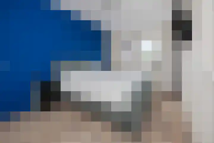 Sleutelbloem 11 Mariënheem thumbnail 13