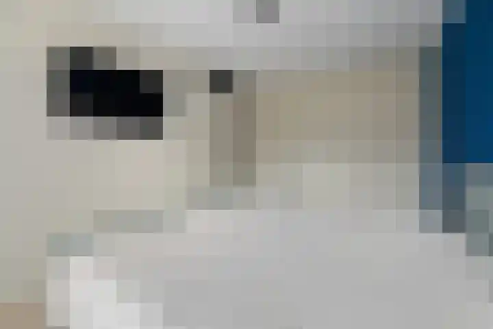 Sleutelbloem 11 Mariënheem thumbnail 14