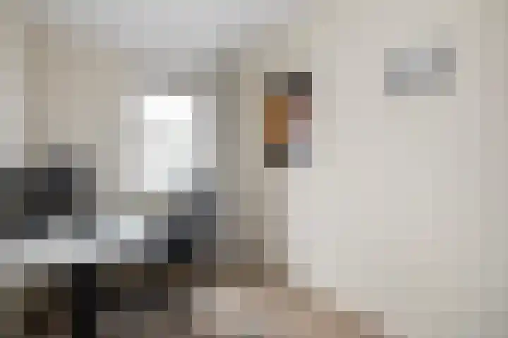 Sleutelbloem 11 Mariënheem thumbnail 16