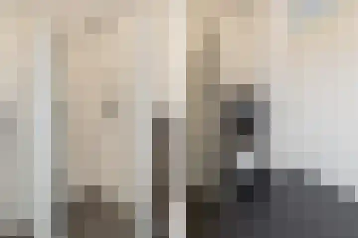 Sleutelbloem 11 Mariënheem thumbnail 18