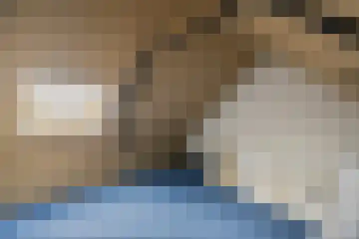 Sleutelbloem 11 Mariënheem thumbnail 20