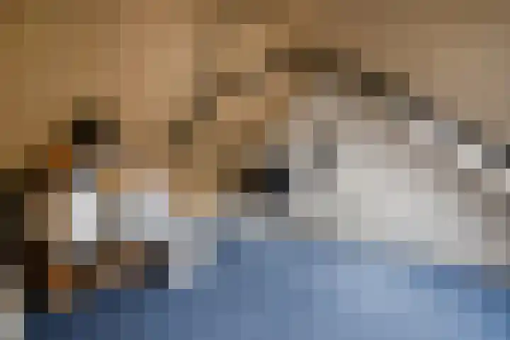 Sleutelbloem 11 Mariënheem thumbnail 21