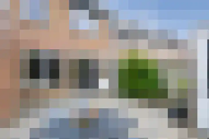 Sleutelbloem 11 Mariënheem thumbnail 22