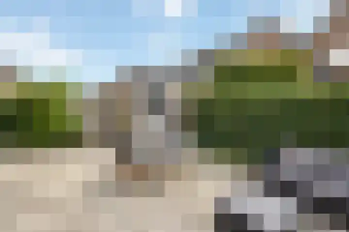 Sleutelbloem 11 Mariënheem thumbnail 23