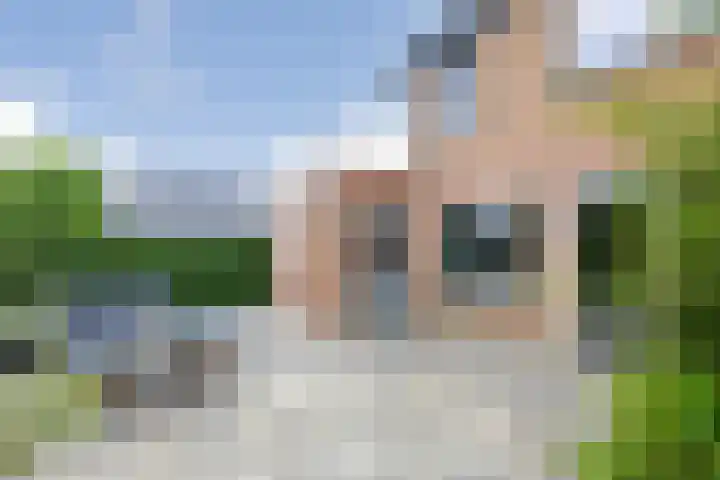Sleutelbloem 11 Mariënheem thumbnail 24