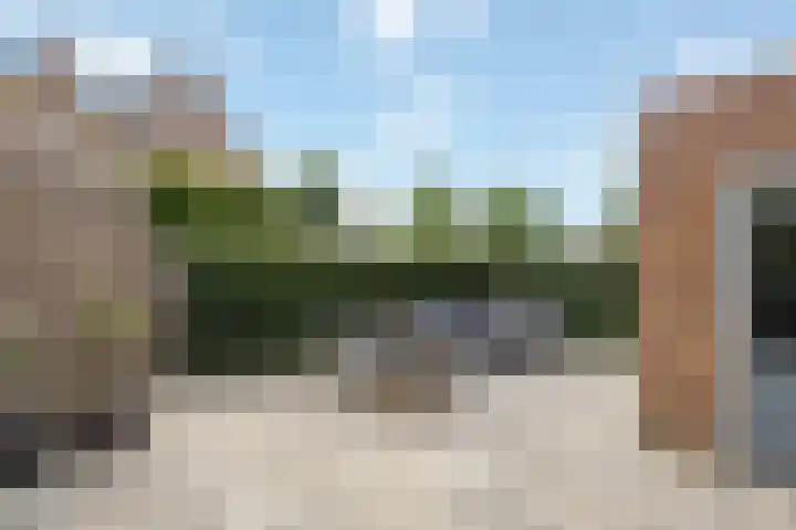 Sleutelbloem 11 Mariënheem thumbnail 25