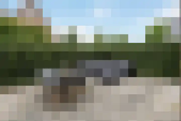 Sleutelbloem 11 Mariënheem thumbnail 26
