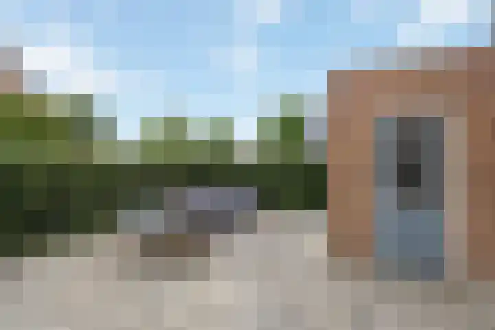 Sleutelbloem 11 Mariënheem thumbnail 27