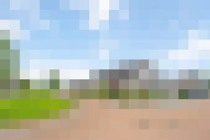 Sleutelbloem 11 Mariënheem thumbnail 28