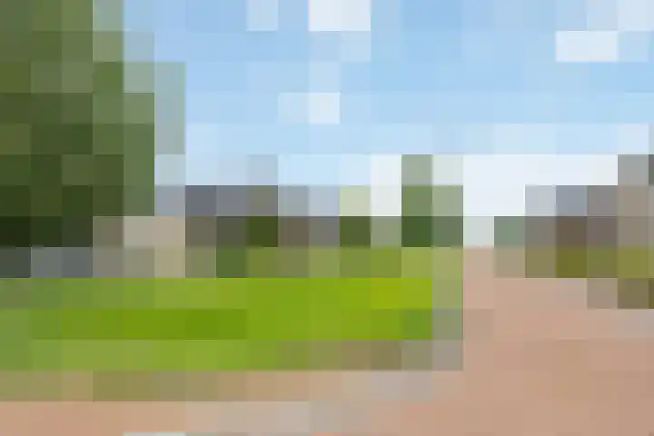 Sleutelbloem 11 Mariënheem thumbnail 29