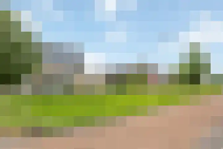 Sleutelbloem 11 Mariënheem thumbnail 30