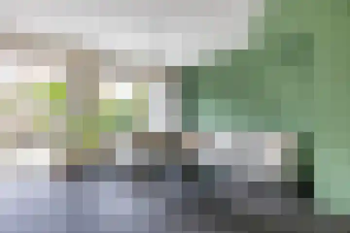 Sleutelbloem 11 Mariënheem thumbnail 6