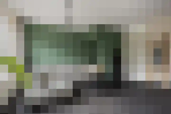 Sleutelbloem 11 Mariënheem thumbnail 7