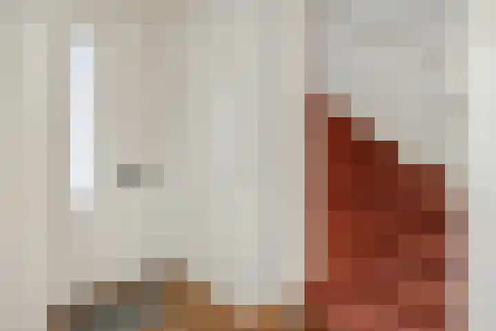 Sleutelbloem 12 Deurne thumbnail 10