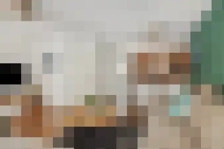 Sleutelbloem 12 Deurne thumbnail 13