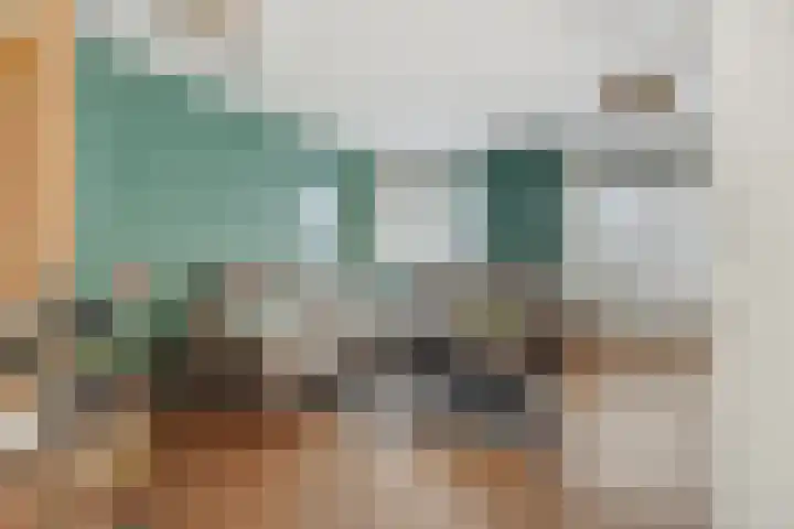 Sleutelbloem 12 Deurne thumbnail 14