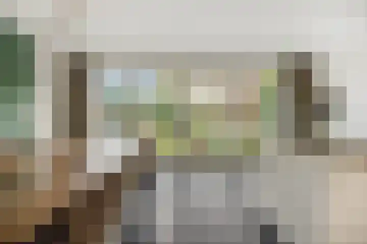 Sleutelbloem 12 Deurne thumbnail 17