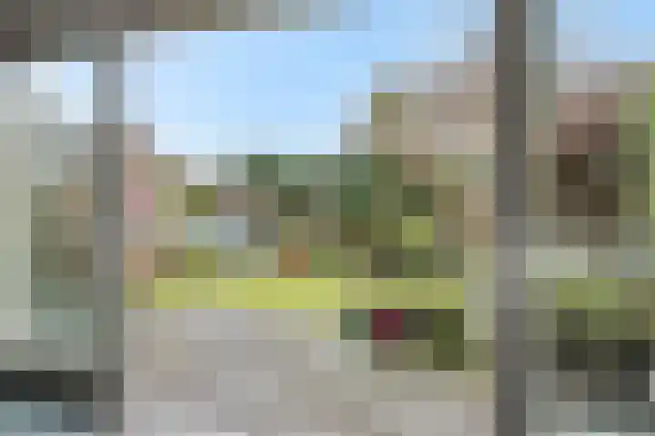 Sleutelbloem 12 Deurne thumbnail 18