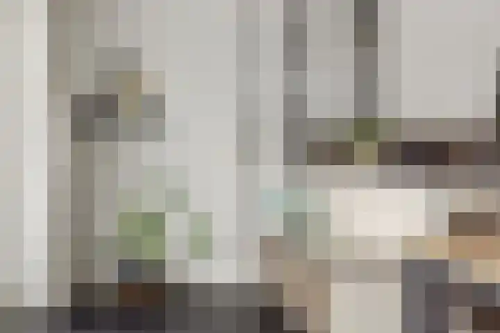 Sleutelbloem 12 Deurne thumbnail 19