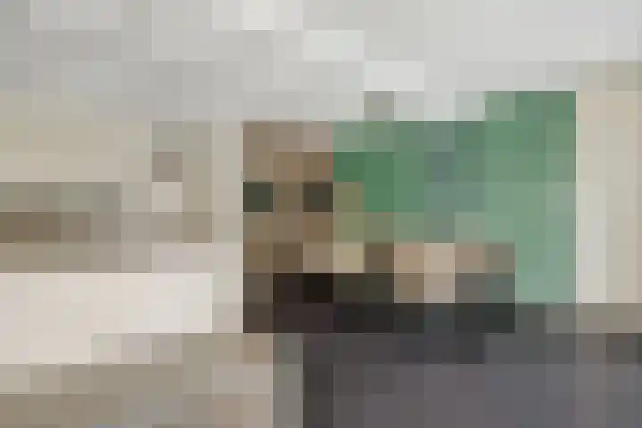 Sleutelbloem 12 Deurne thumbnail 20